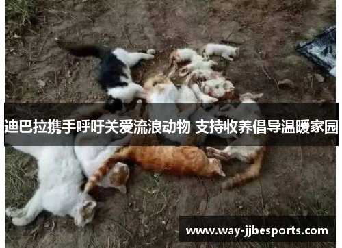 迪巴拉携手呼吁关爱流浪动物 支持收养倡导温暖家园