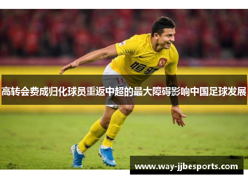 高转会费成归化球员重返中超的最大障碍影响中国足球发展